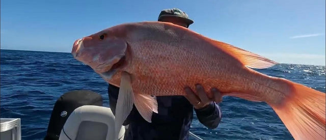 Incredible Slow Retrieve Jigs by Sea-Ductive