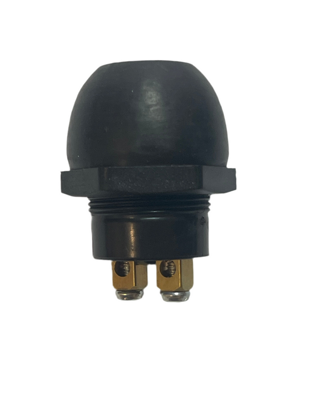 PUSH BUTTON SWITCH 2OA@12V