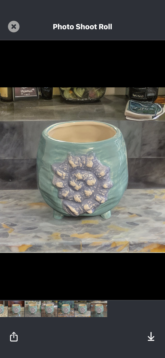 IT SEALIFE DESIGN CERAMIC POT 2 ASS